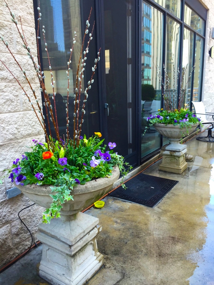 Chicago - Spring annuals 2016 by Brent Riechers Landscape (BRL LANDesign) - Photo 6