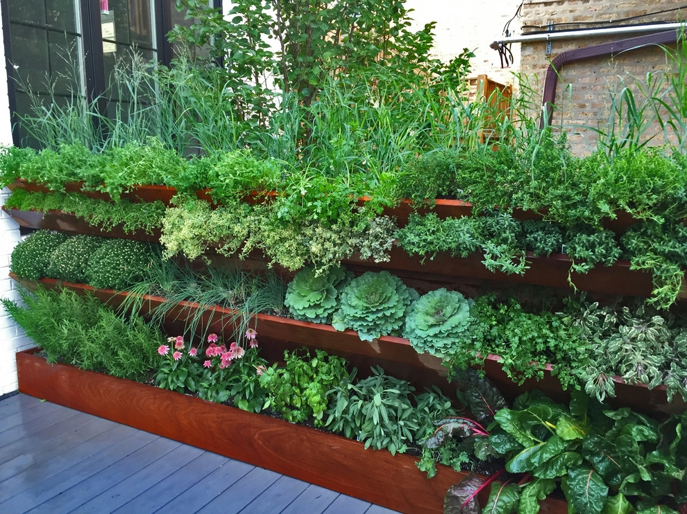 Lincoln Park Herb Wall by Brent Riechers Landscape (BRL LANDesign) - Photo 3