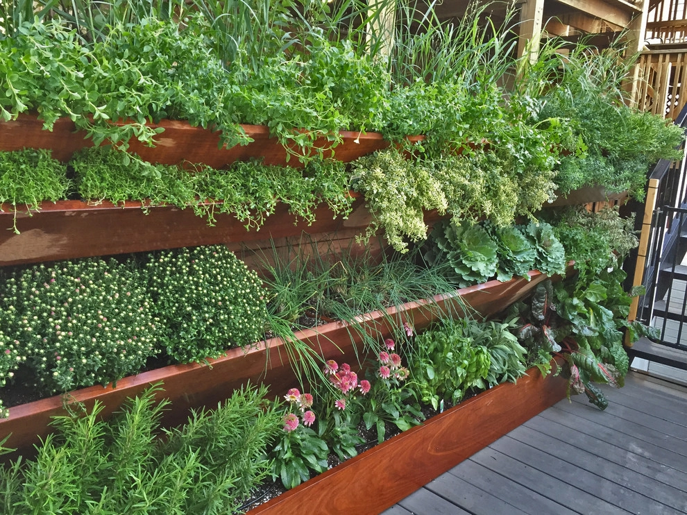 Lincoln Park Herb Wall by Brent Riechers Landscape (BRL LANDesign) - Photo 2