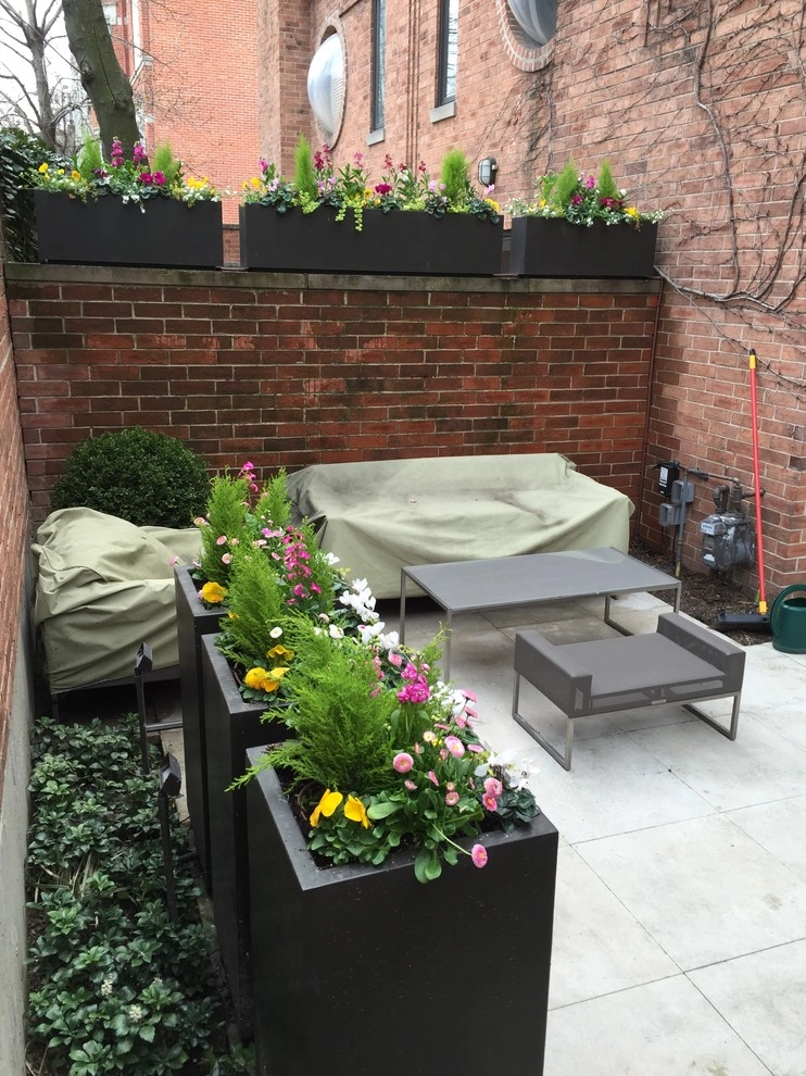 Chicago - Spring annuals 2016 by Brent Riechers Landscape (BRL LANDesign) - Photo 2