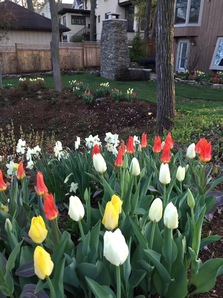 Chicago Spring Annuals 2015 by Brent Riechers Landscape (BRL LANDesign) - Photo 4