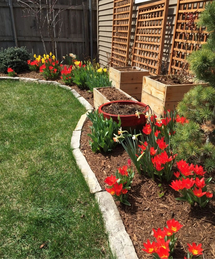 Chicago Spring Annuals 2015 by Brent Riechers Landscape (BRL LANDesign) - Photo 9