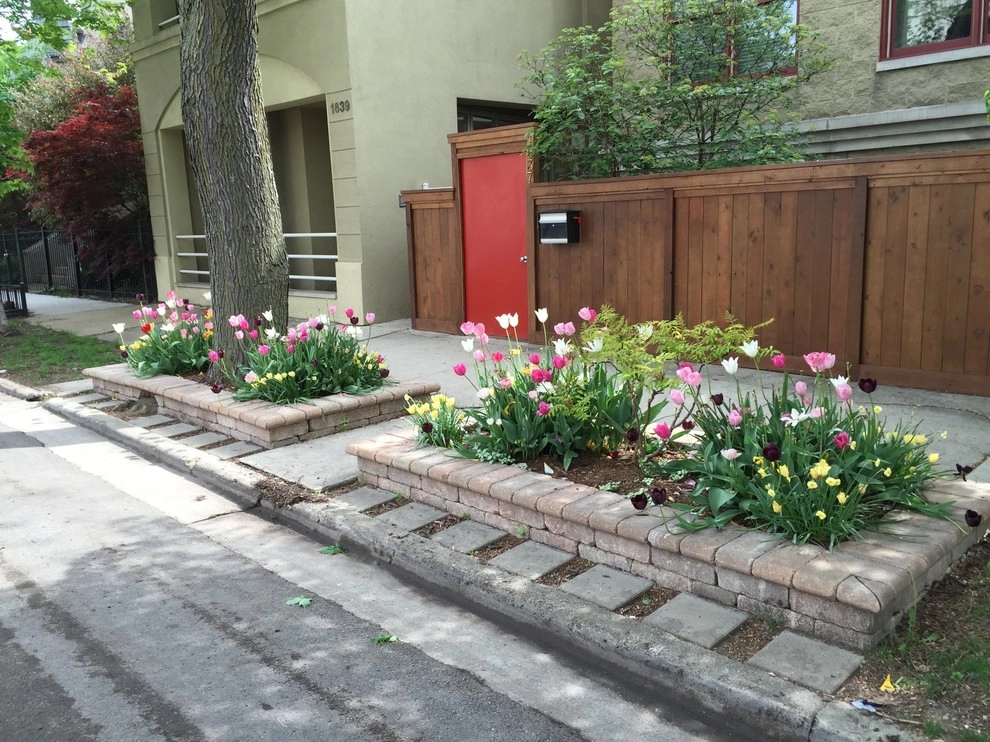 Chicago Spring Annuals 2015 by Brent Riechers Landscape (BRL LANDesign) - Photo 8