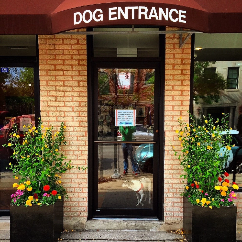 Chicago Spring Annuals 2015 by Brent Riechers Landscape (BRL LANDesign) - Photo 6