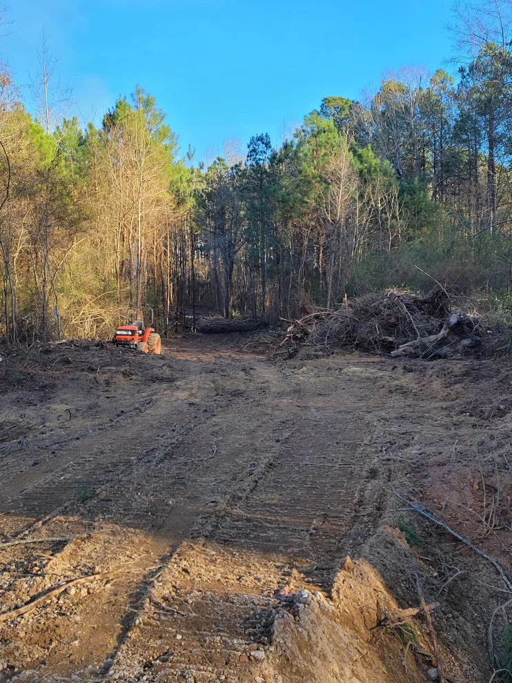 Site Preparation and Land Clearance by TNT Development - Photo 15