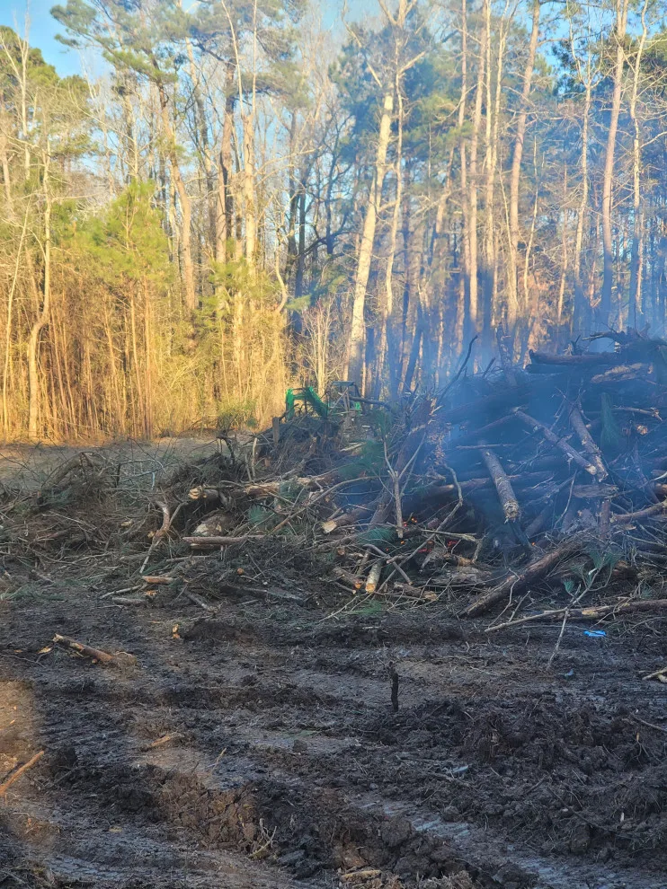 Site Preparation and Land Clearance by TNT Development - Photo 7