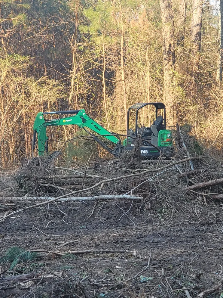 Site Preparation and Land Clearance by TNT Development - Photo 6