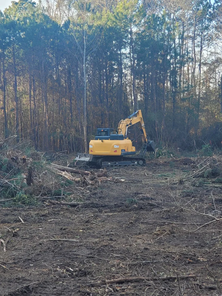 Site Preparation and Land Clearance by TNT Development - Photo 16
