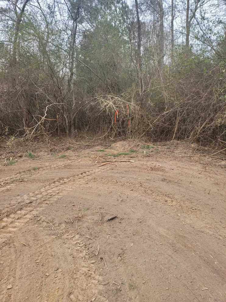 Site Preparation and Land Clearance by TNT Development - Photo 3