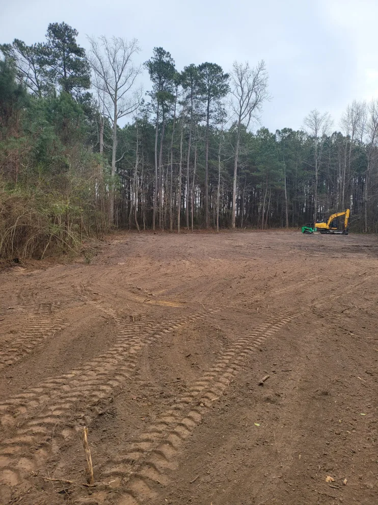 Site Preparation and Land Clearance by TNT Development - Photo 13