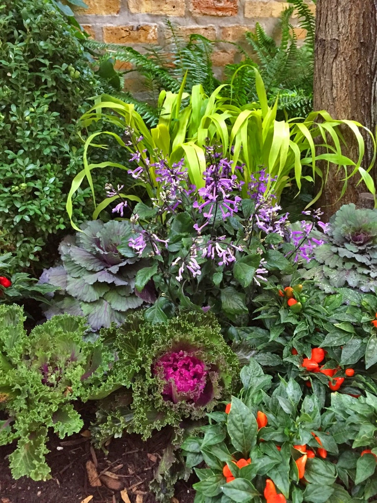 Lincoln Park Fall Annuals by Brent Riechers Landscape (BRL LANDesign) - Photo 4
