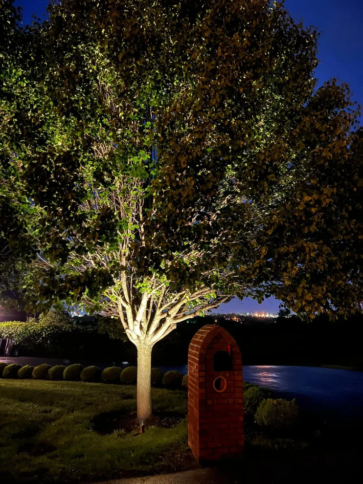 Outdoor Illumination Setup by Unique Contracting & Landscaping, LLC - Photo 6