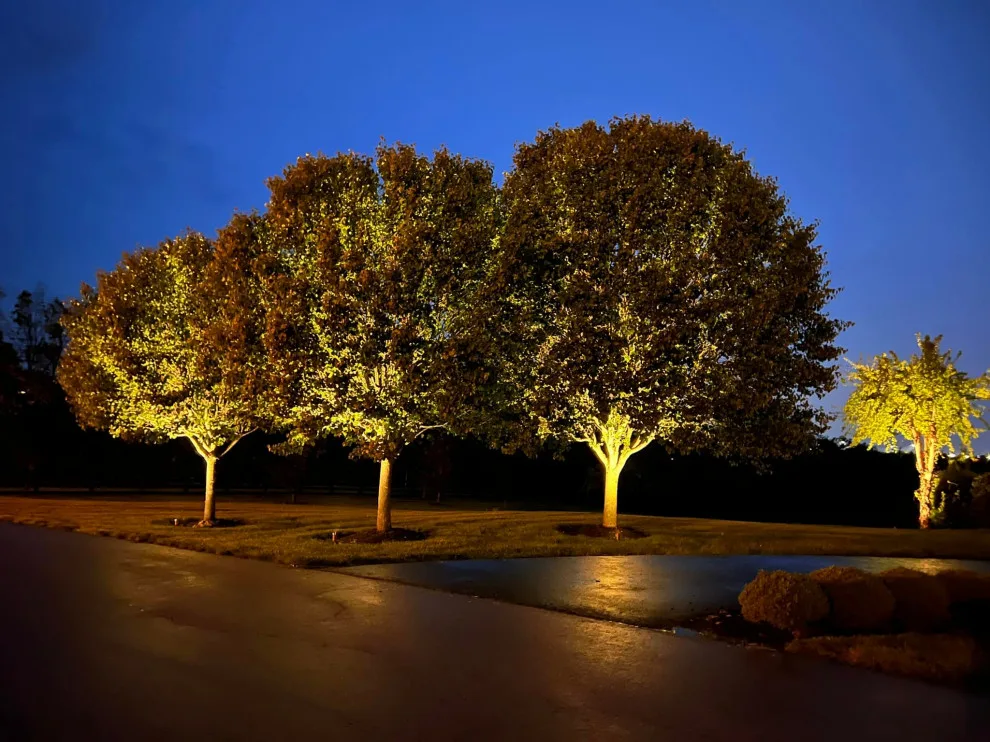 Outdoor Illumination Setup by Unique Contracting & Landscaping, LLC - Photo 4