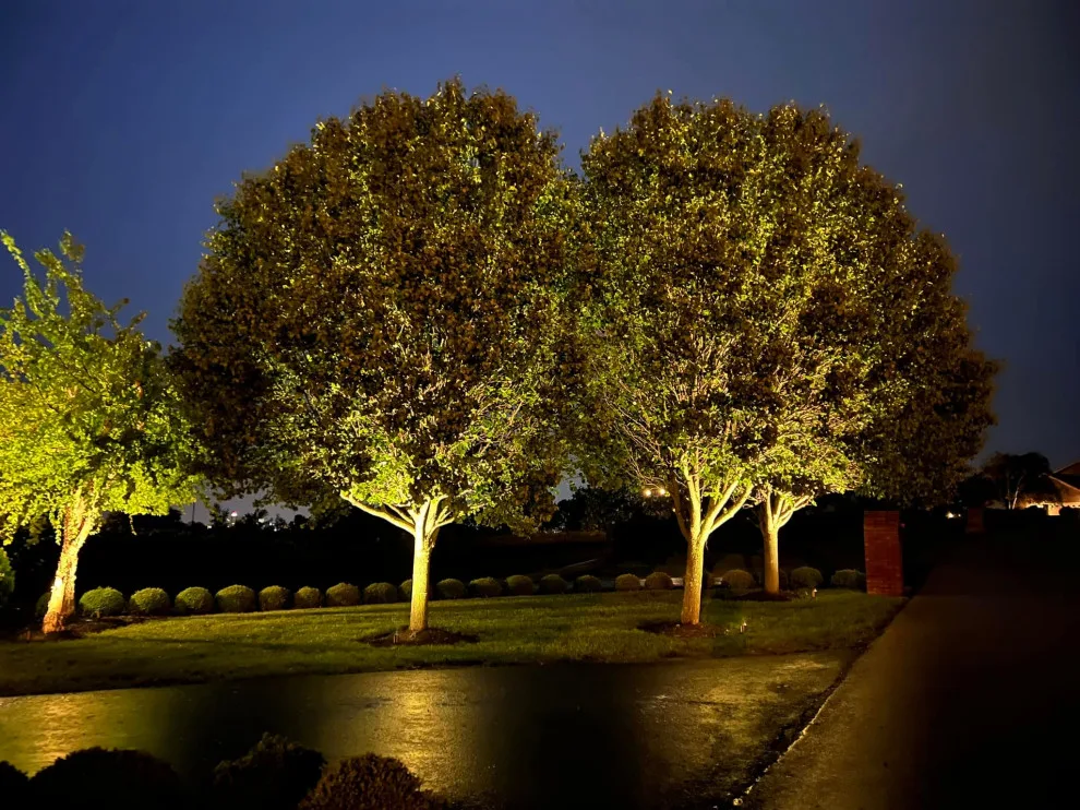 Outdoor Illumination Setup by Unique Contracting & Landscaping, LLC - Photo 7
