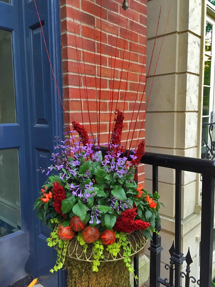 Lincoln Park Fall Annuals by Brent Riechers Landscape (BRL LANDesign) - Photo 3