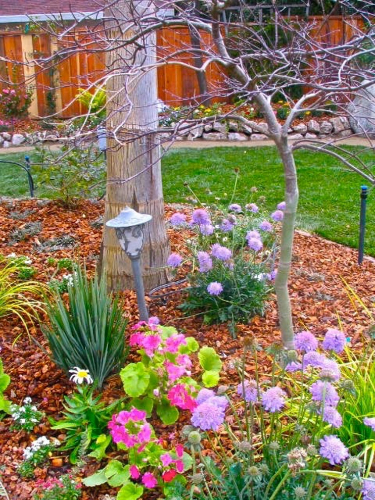 Los Gatos Renovation by Garden To Life Landscaping - Photo 11