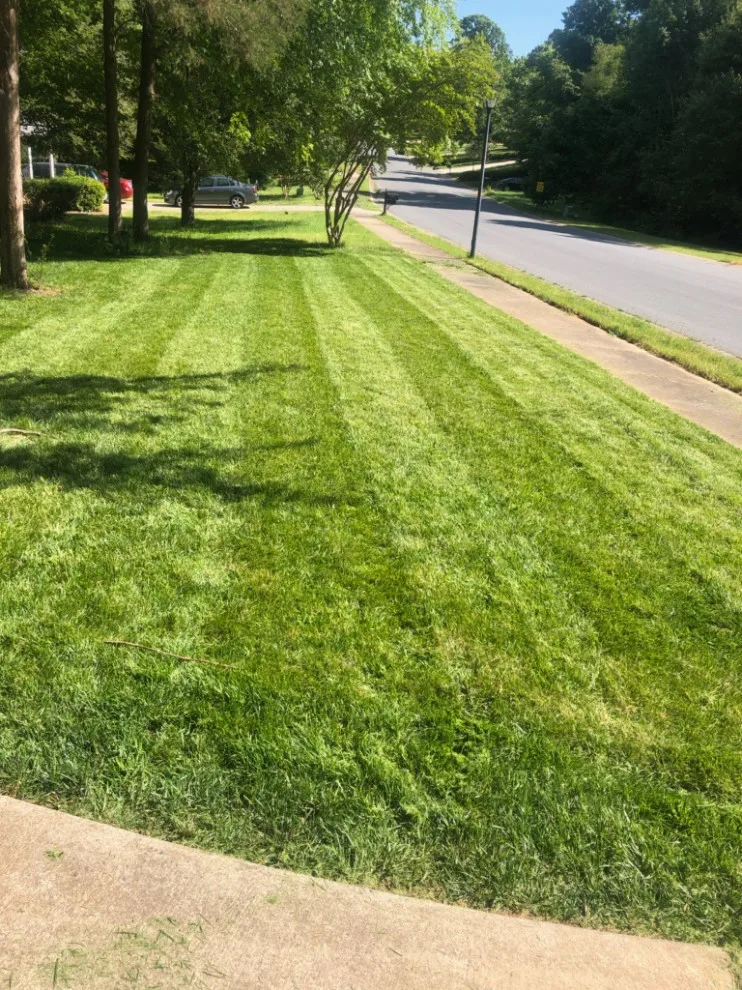 V & B Construction Services, Inc. - Photo 13