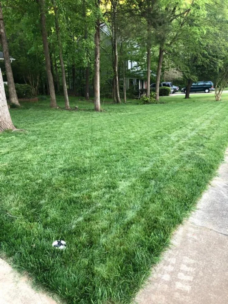 Scenery by V & B Construction Services, Inc. - Photo 8