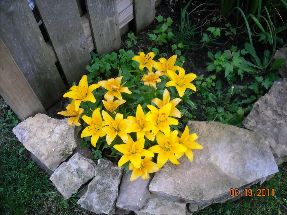 Breezy Summit Landscaping by Premier Property Service Of Ohio, LLC - Photo 8