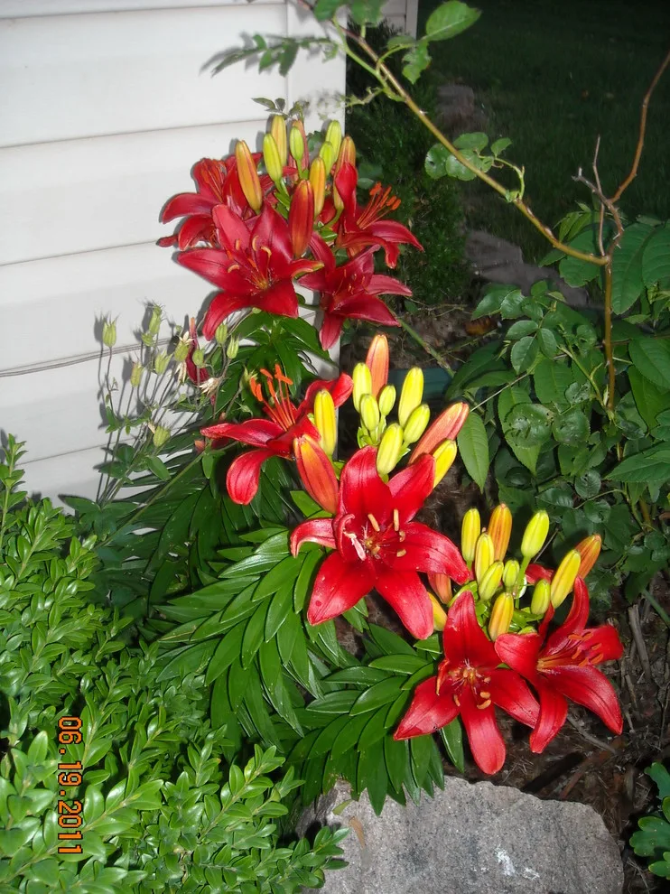 Breezy Summit Landscaping by Premier Property Service Of Ohio, LLC - Photo 4