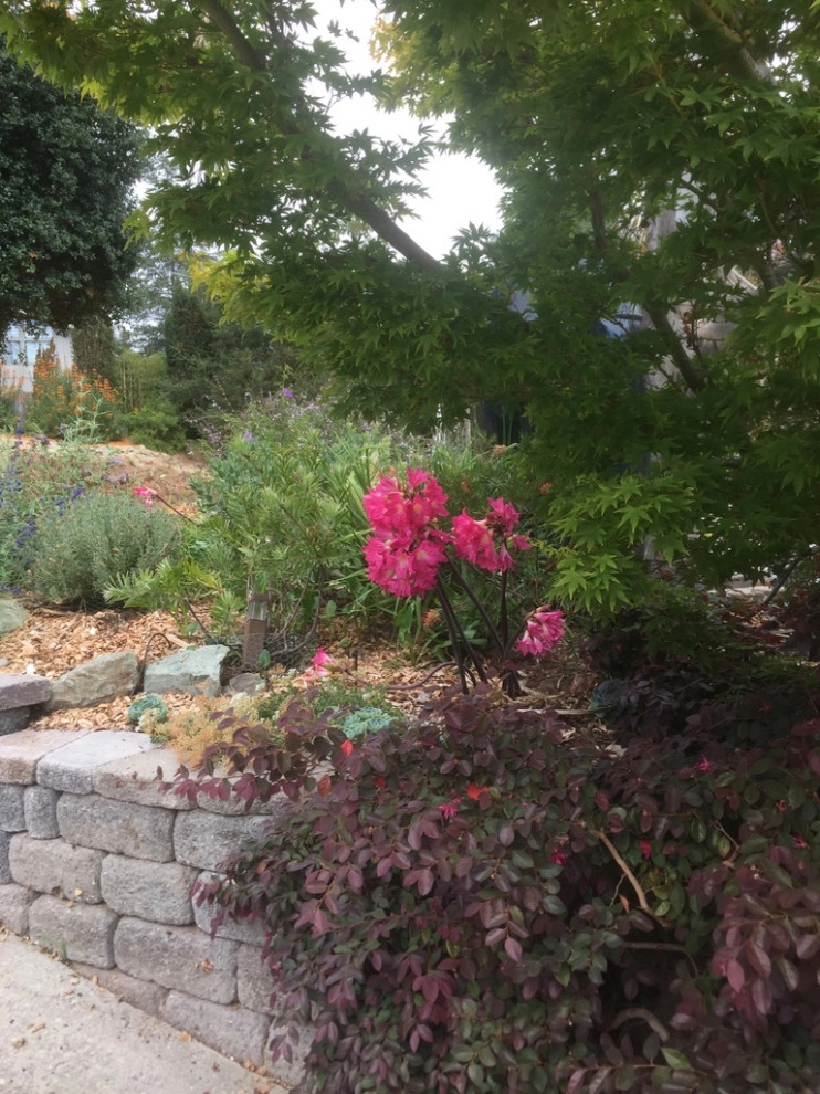 Collage by Garden To Life Landscaping - Photo 6