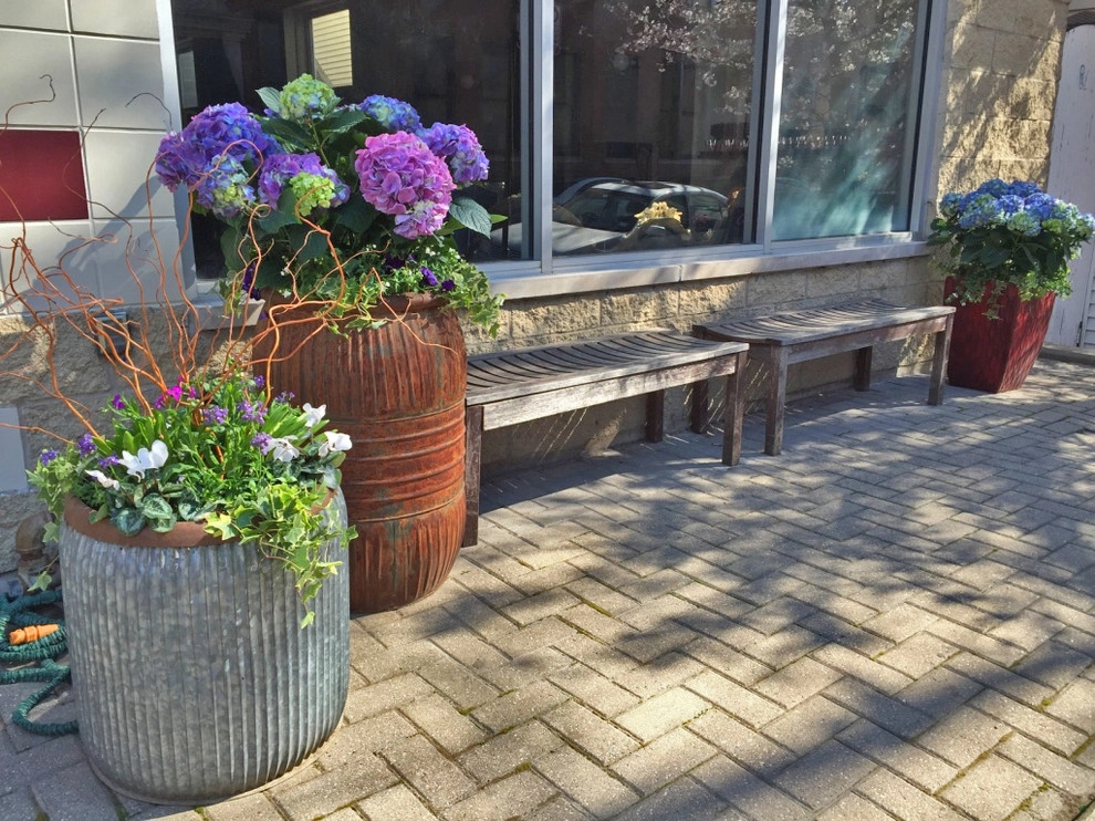 Chicago - Spring annuals 2016 by Brent Riechers Landscape (BRL LANDesign) - Photo 5