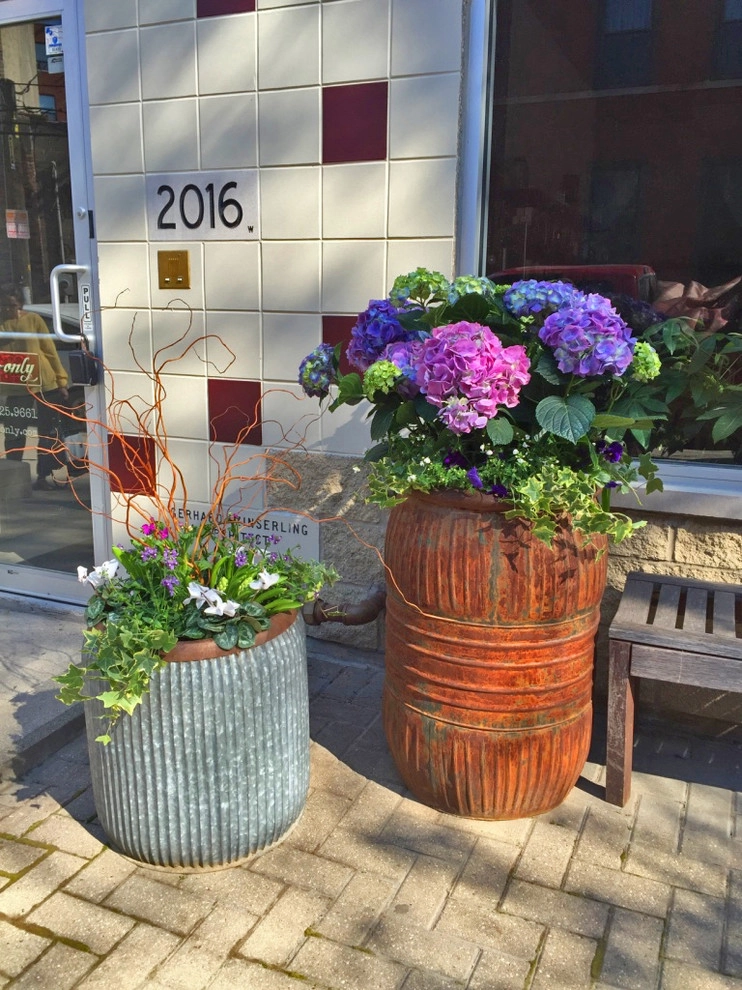 Chicago - Spring annuals 2016 by Brent Riechers Landscape (BRL LANDesign) - Photo 8