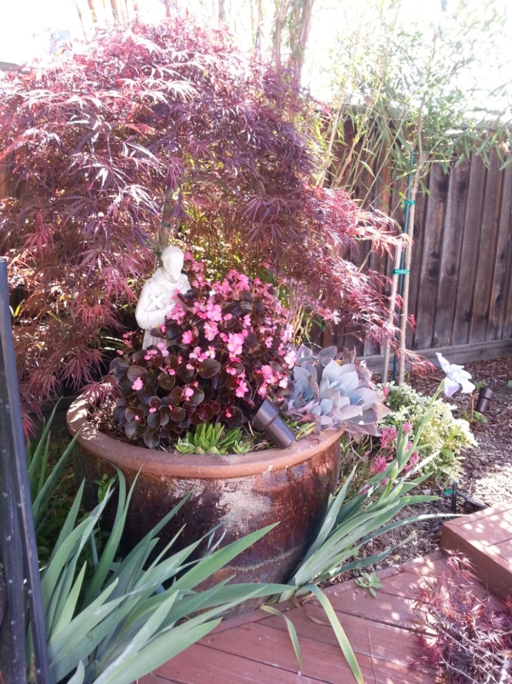 Mary and Michael by Garden To Life Landscaping - Photo 4