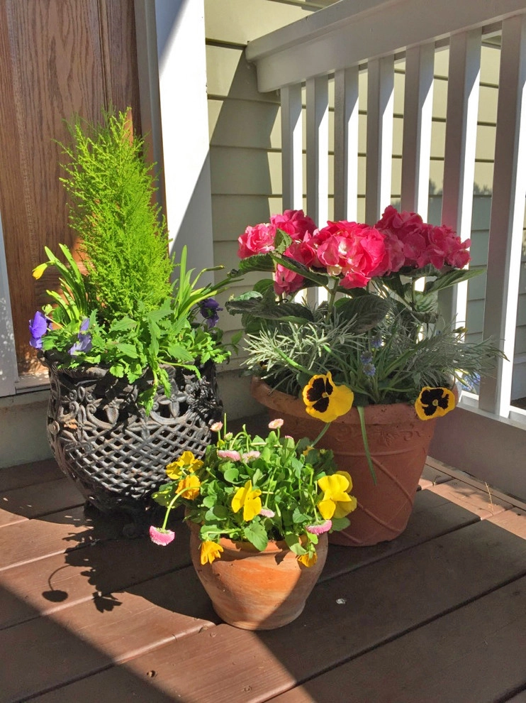 Chicago - Spring annuals 2016 by Brent Riechers Landscape (BRL LANDesign) - Photo 7