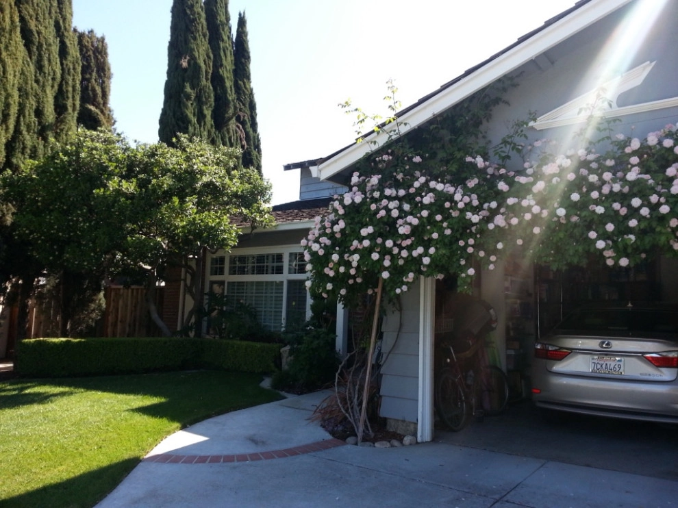 Mary and Michael by Garden To Life Landscaping - Photo 5