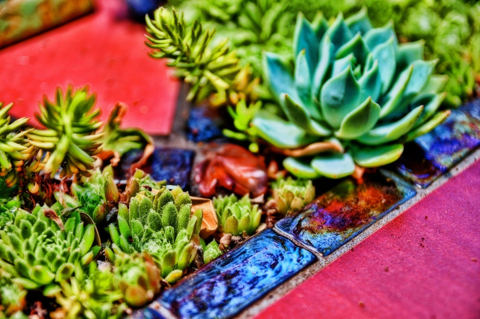 creation of succulent table by Garden To Life Landscaping - Photo 8