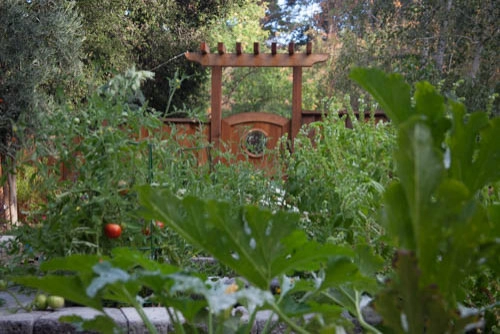 los altos by Garden To Life Landscaping - Photo 6