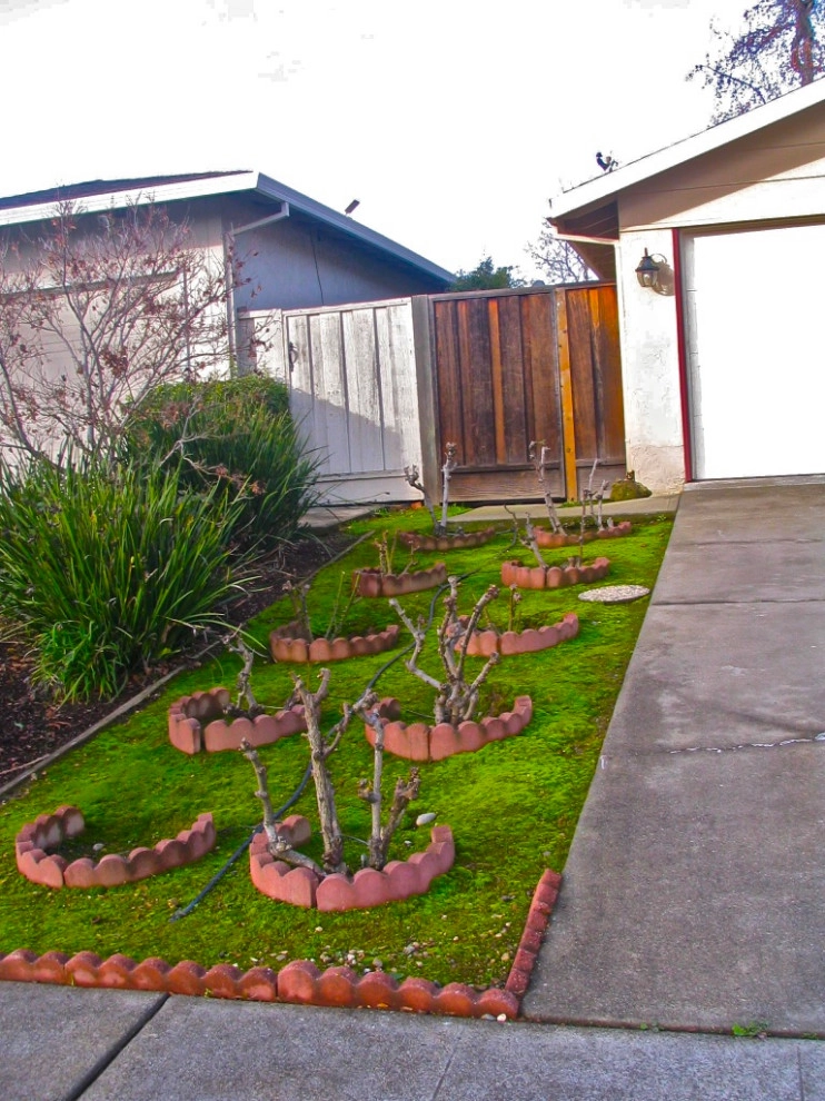Norma and Ed by Garden To Life Landscaping - Photo 17