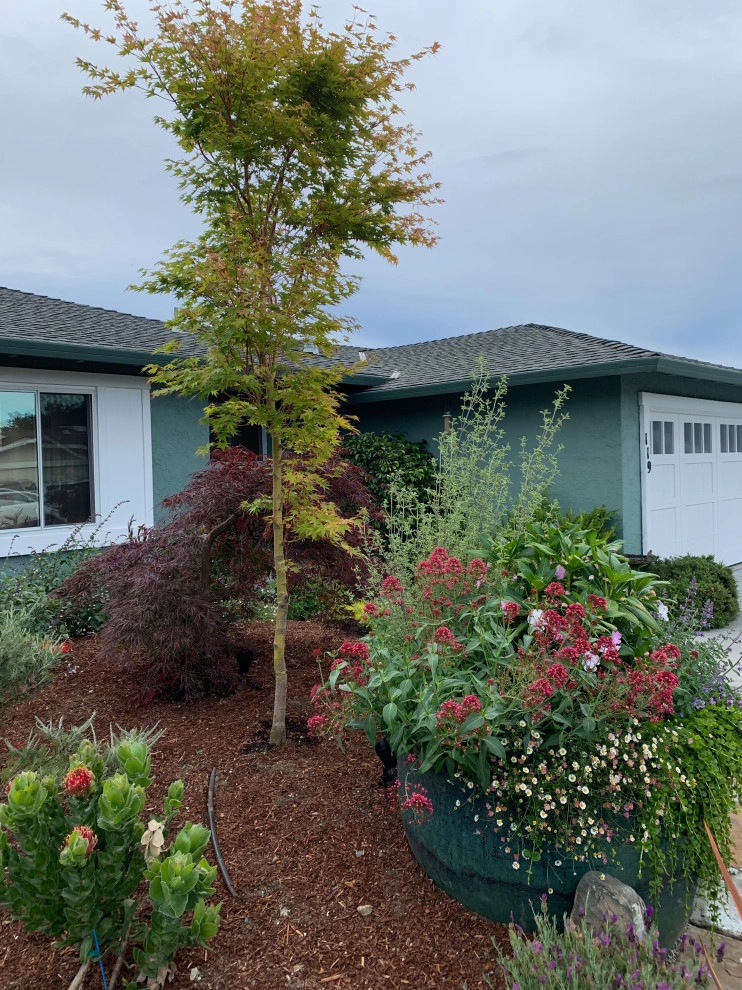 Cheryl and Ken by Garden To Life Landscaping - Photo 19