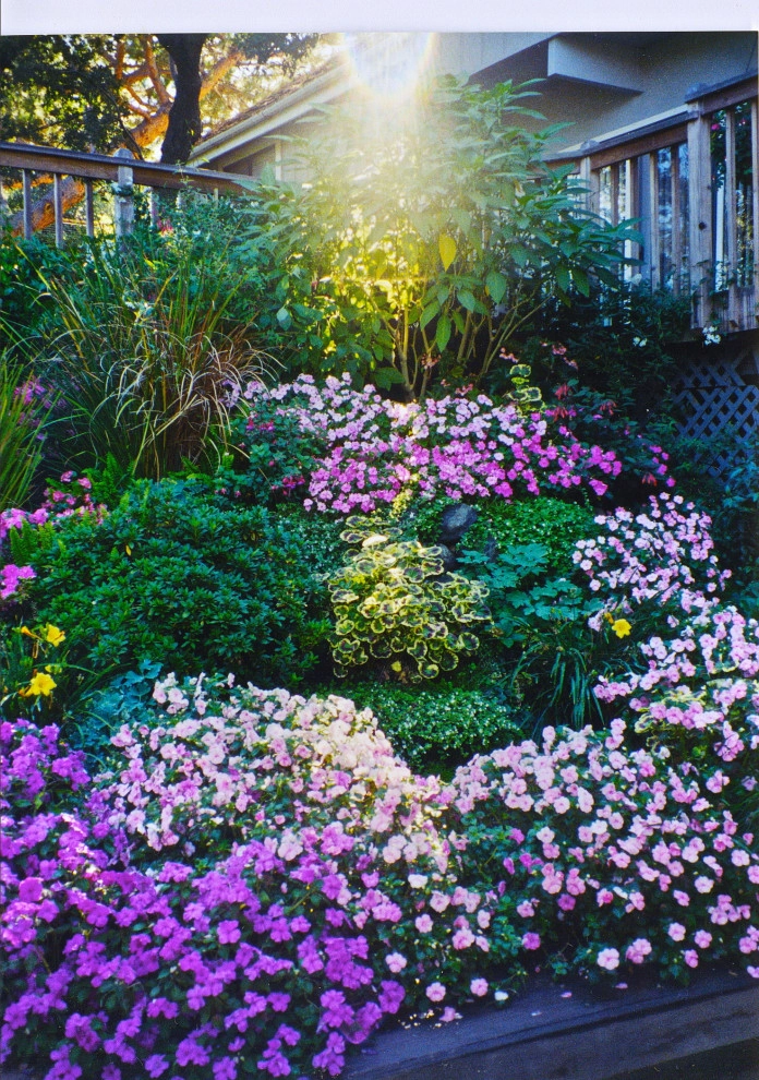 Collage by Garden To Life Landscaping - Photo 33
