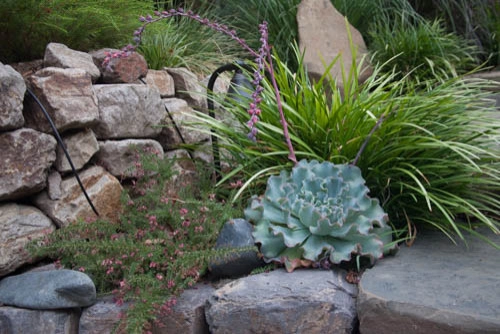 los altos by Garden To Life Landscaping - Photo 18
