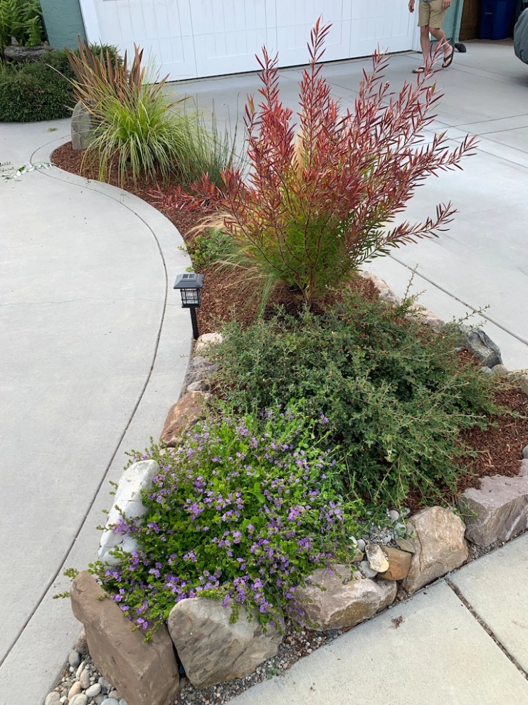 Cheryl and Ken by Garden To Life Landscaping - Photo 17