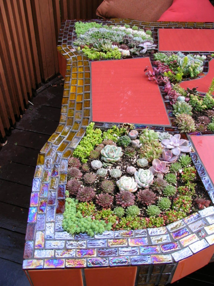 creation of succulent table by Garden To Life Landscaping - Photo 13
