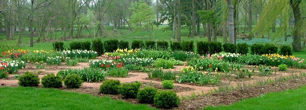 Flowering Bulbs -- Tulips by GardenArt - Photo 12