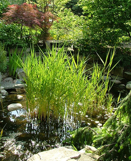 Water Features by GardenArt - Photo 4