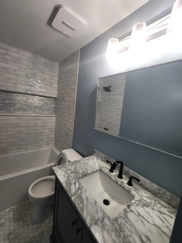 Larris Restroom Renovation by Premiere Builders & Remodeling - Photo 2