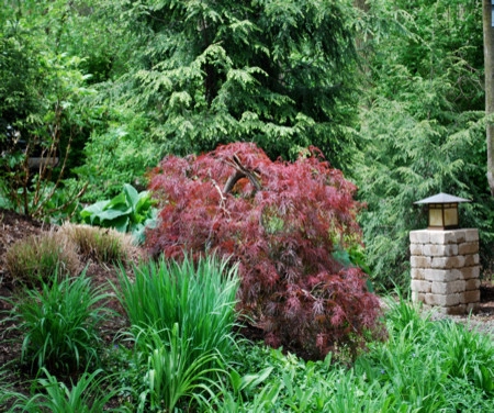 Planting Design and Installation by GardenArt - Photo 8
