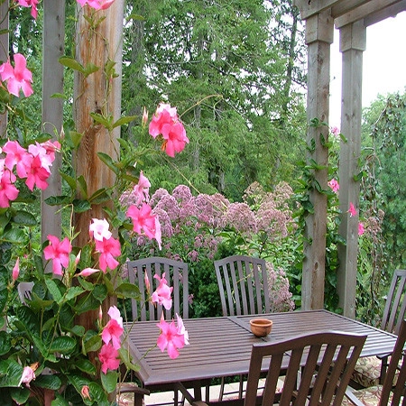 Garden Rooms by GardenArt - Photo 11
