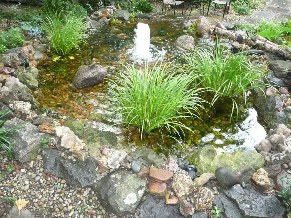 Water Gardens by Gardening Angel Landscaping - Photo 16