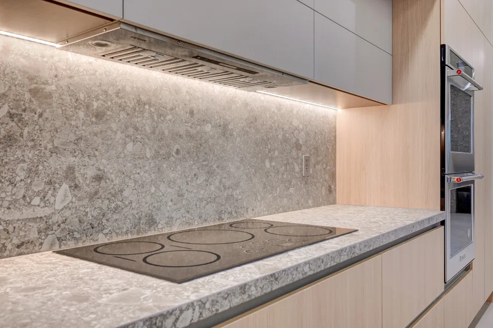Latour Project by DesignZone Remodeling - Photo 16