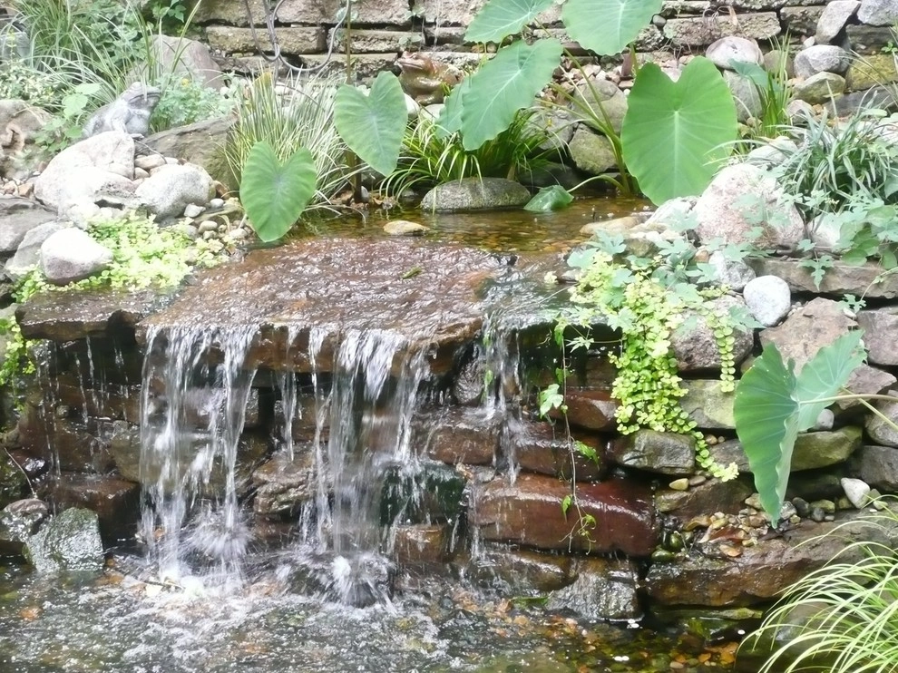 Water Gardens by Gardening Angel Landscaping - Photo 13