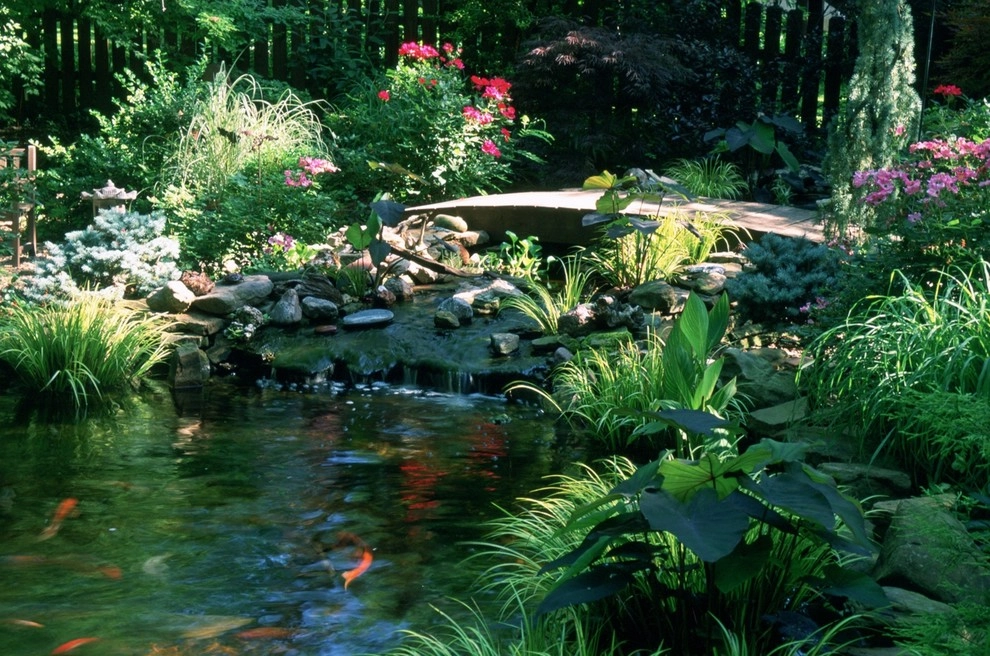 Water Gardens by Gardening Angel Landscaping - Photo 8