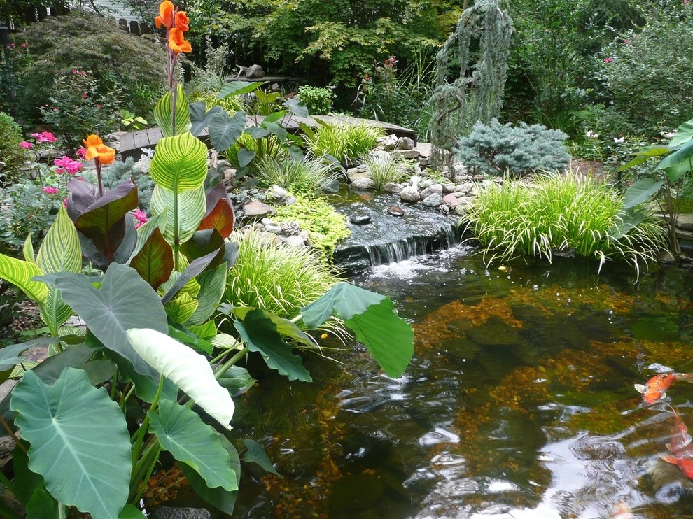 Water Gardens by Gardening Angel Landscaping - Photo 15