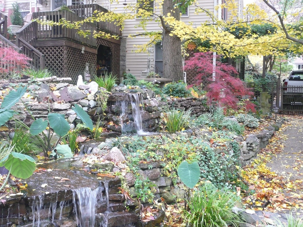 Water Gardens by Gardening Angel Landscaping - Photo 5
