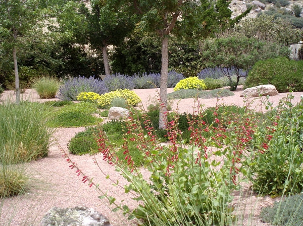 Water Conserving Gardens & Xeriscape by Gardens Of The Wine Country - Photo 10